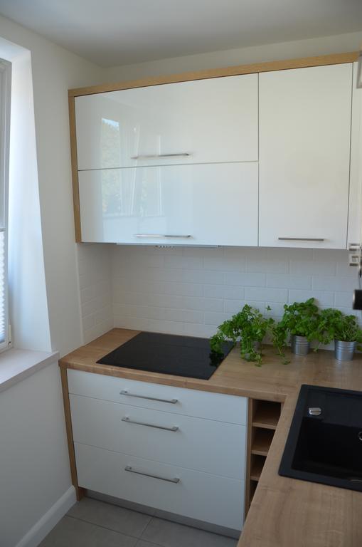 Apartament Na Starowce Grobla I Gdansk Ruang foto
